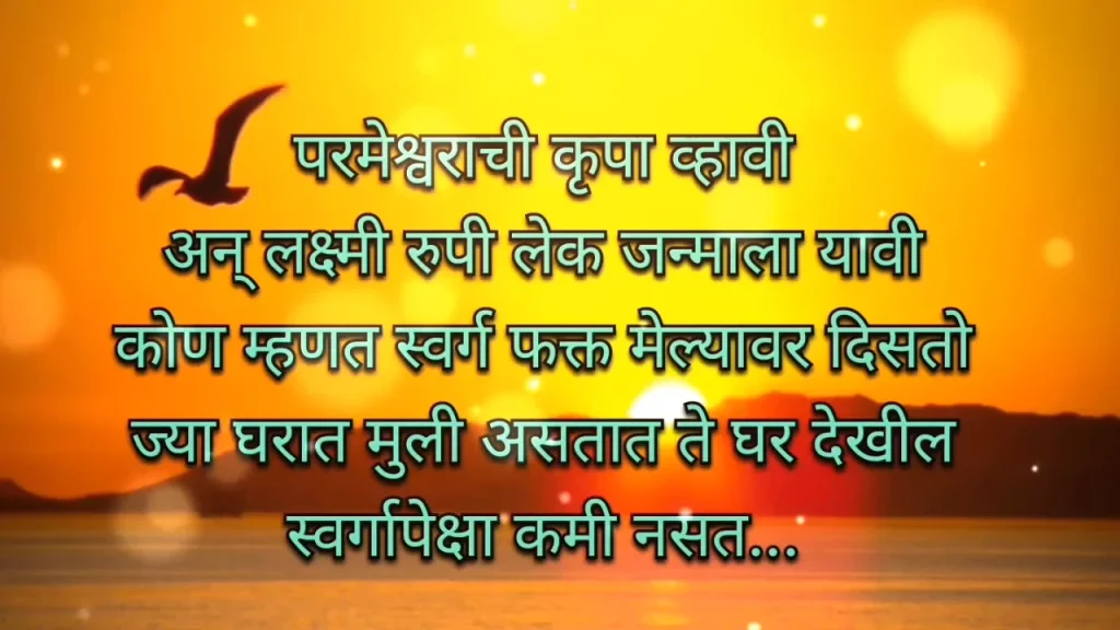 Sunset background with Hindi birthday wishes and a flying bird.